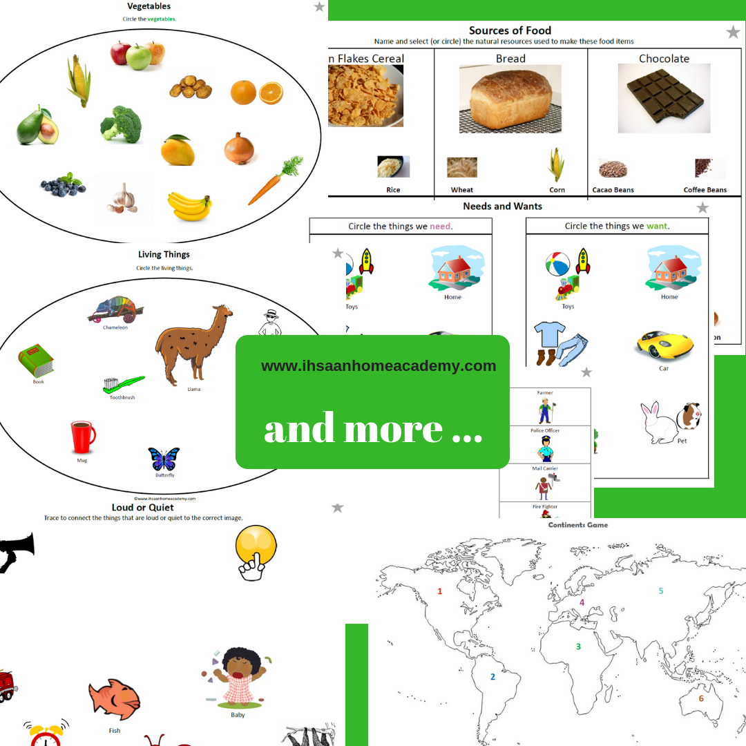 kindergarten Science and Social Studies curriculum no prep - Kindergarten Science Curriculum